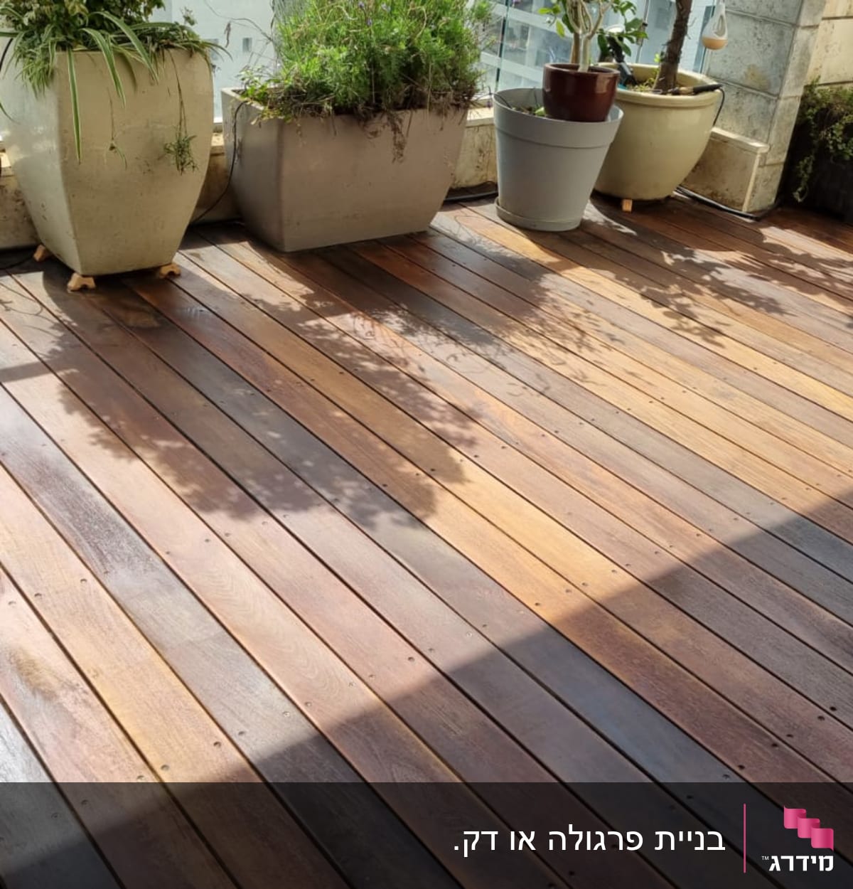 רצפת עץ עם עציצים על מרפסת מוארת בשמש